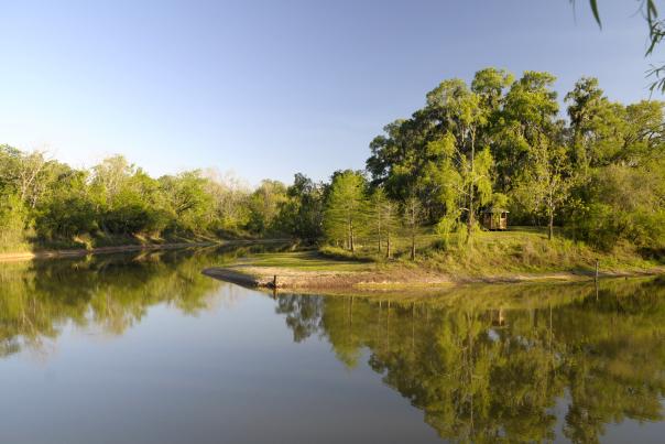Brazos Bend State Park