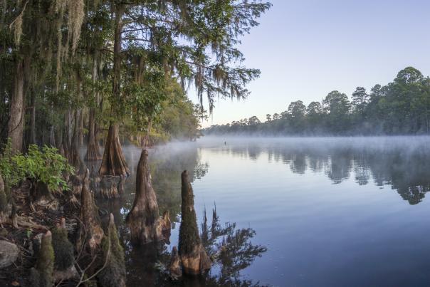 Caddo Lake