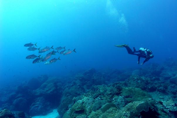NOAA Sanctuary Header