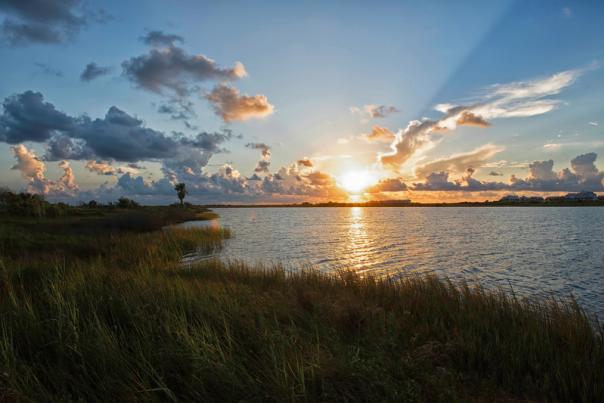Lagoon sunrise-Galveston