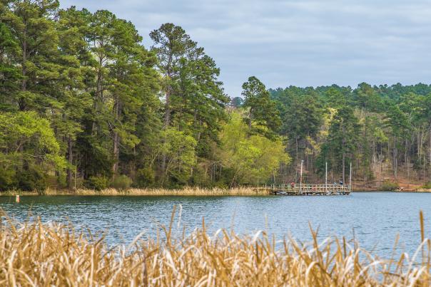 Tyler-State-Park---1