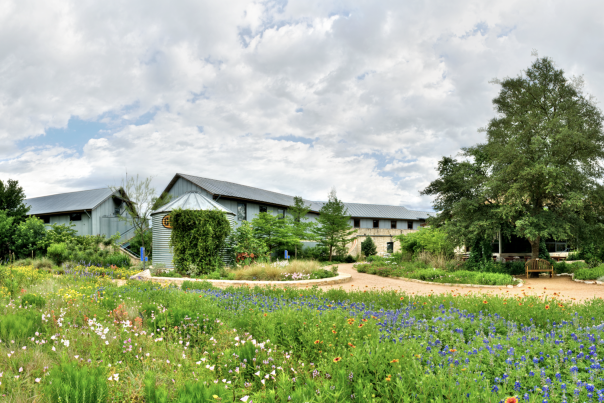 WFC-General-shot_credit-Lady-Bird-Johnson-Wildflower-Center-Exp-5-25-26---Ashley-Zapata