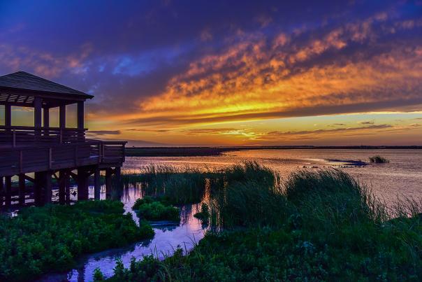 Leonabelle Turnbull Birding Center