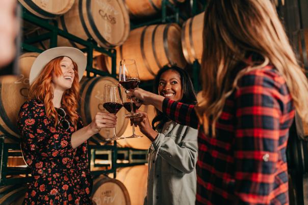 Women cheers with glasses of wine in a wine cellar