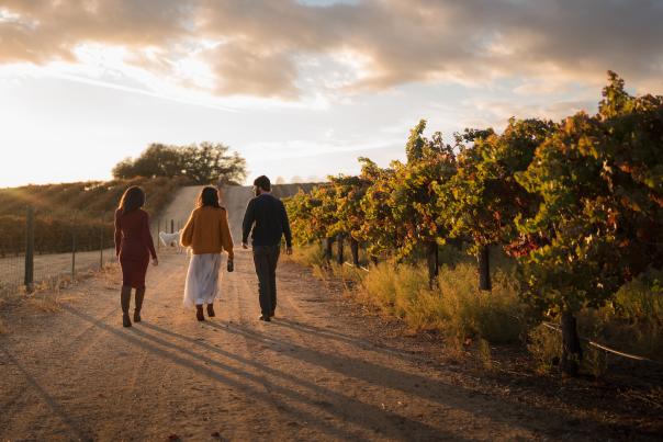 High Camp Wines