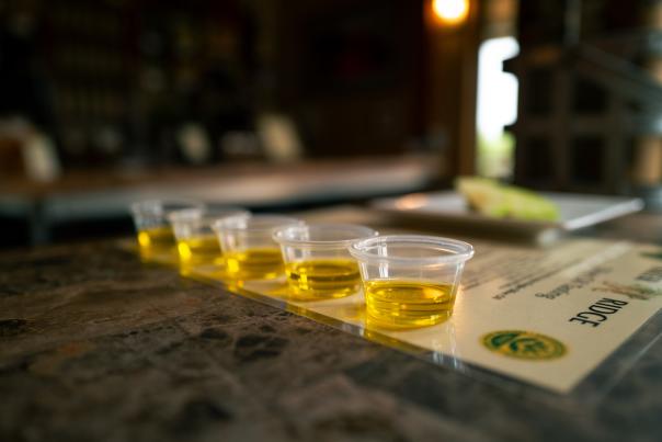 Small sample cups of olive oil on a tasting mat