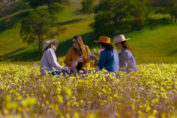 Wildflowers