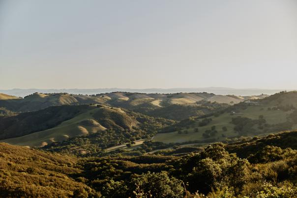 Rolling hills in Paso Robles, California.
