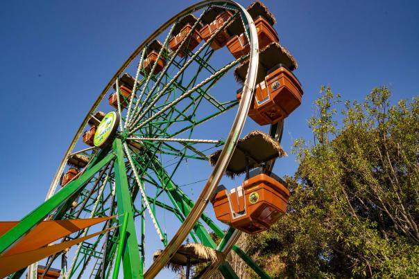 Santa Ana Zoo Ferris Wheel