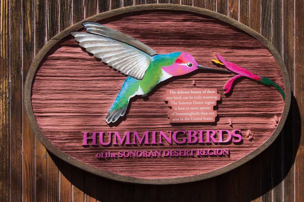 Arizona Sonoran Desert Museum Hummingbirds Exhibit