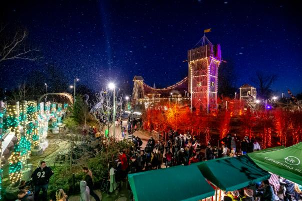 Outdoor holiday lights at night