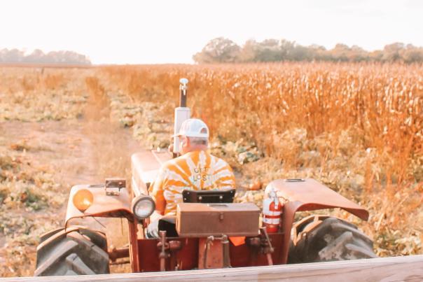 Tractor ride