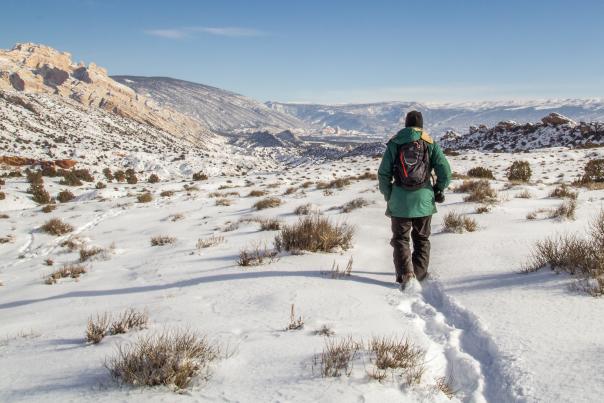 Snowshoeing
