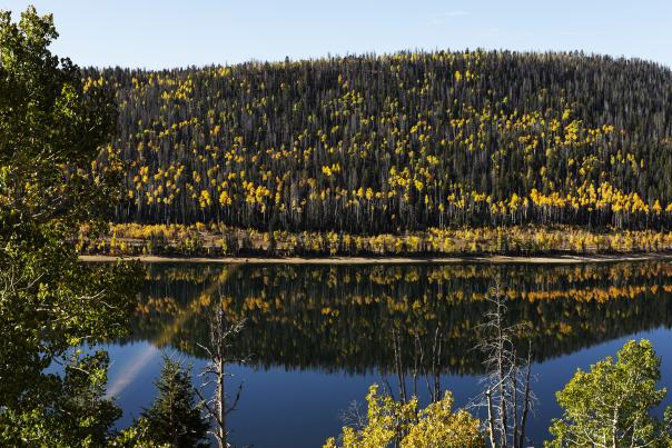 Cedar City
