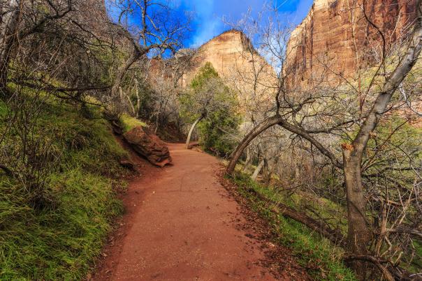 Zion Emerald Pools Trail in Zion National Park Utah