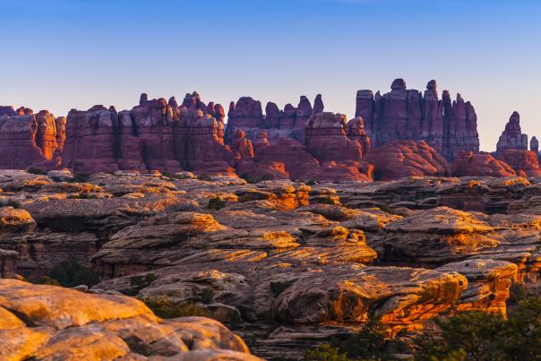 Needles District at Sunset at Canyonlands National Park