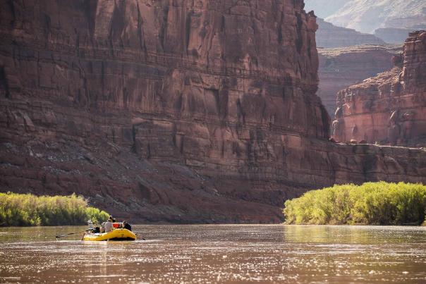 oars cataract high res.jpg