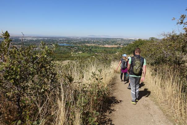 People Hiking on a trail