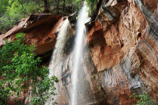 Zion Emerald Pools 112606823.jpg