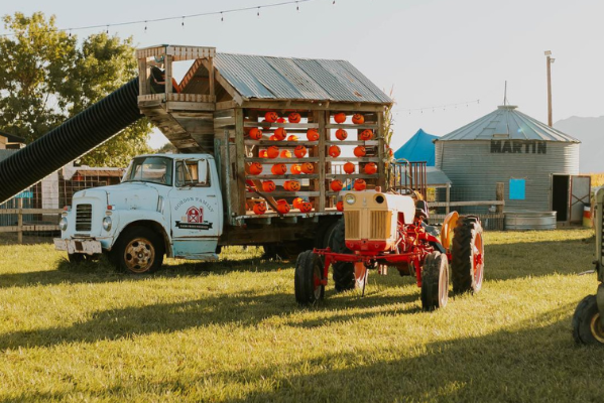 Gordos Family Farm Fall