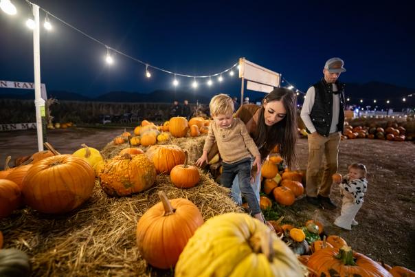 fall farm pumpkin