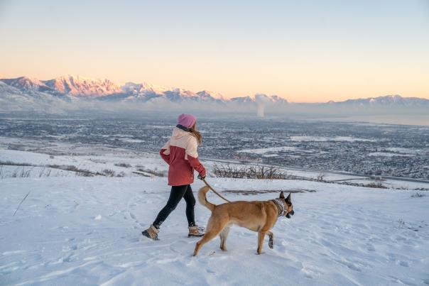 Dog Walk
