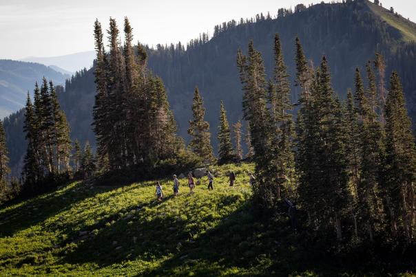 Timpanogos Hike with Family