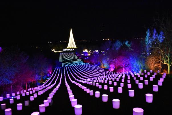 Luminaria Natalie ockey