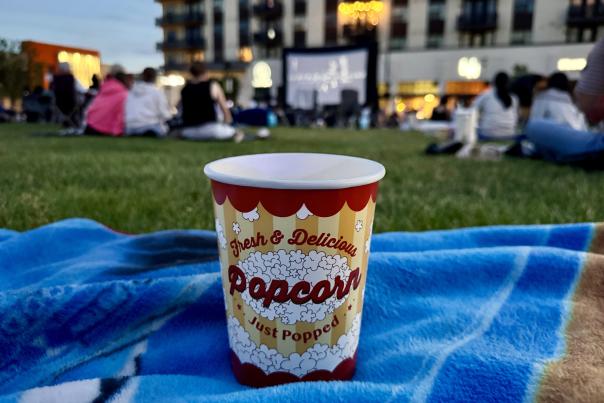 Outdoor Movies