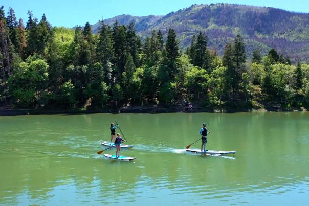 three paddleboarders on maple lake
