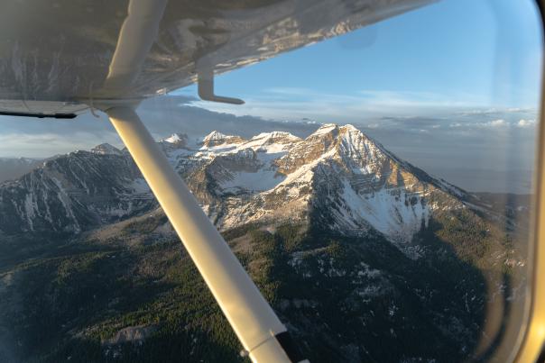 Timpanogos