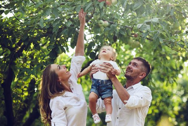 Apple Picking rowleys