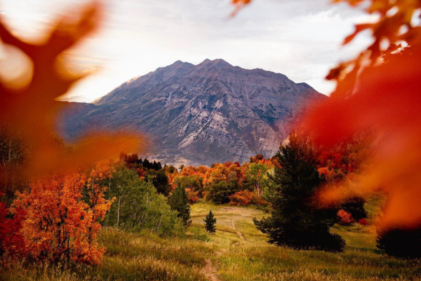 Buffalo Peak