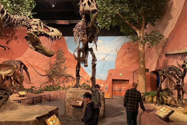 Dinosaur skeletons at the Museum of Ancient Life at Thanksgiving Point in Lehi