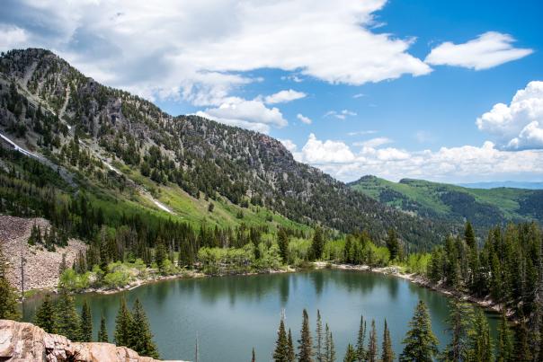 Pitsburg Lake