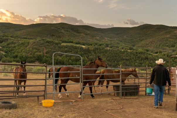 Horseback Ridding at Hobble Creek Outfitters