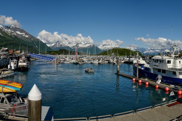 Sunny Summer Day at the Valdez Small Boat Harbor, by Gary Minish