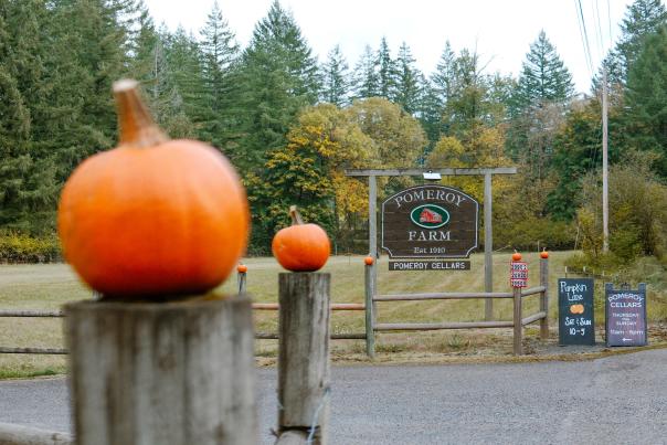 Pomeroy Farm Pumpkin Lane