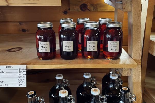Maple Syrup for sale