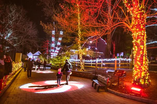Wild Lights at Elmwood Park Zoo
