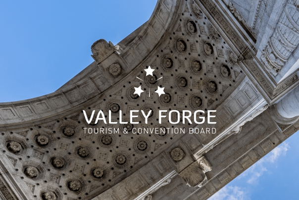 VFTCB Logo overlaid on the VFNHP Arch