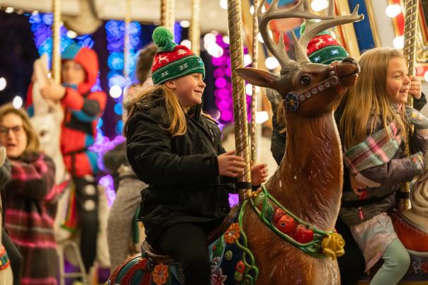 Elmwood Park Zoo Wild Lights carousel