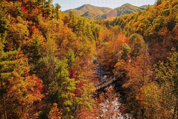 Virginia Creeper Trail in Fall