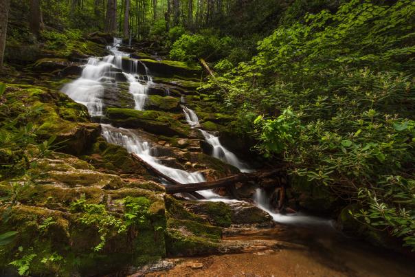 Rowlands Creek Falls
