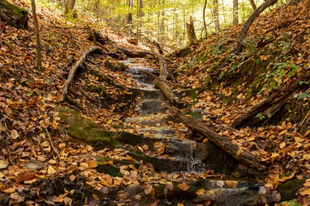 Fairy Stone State Park