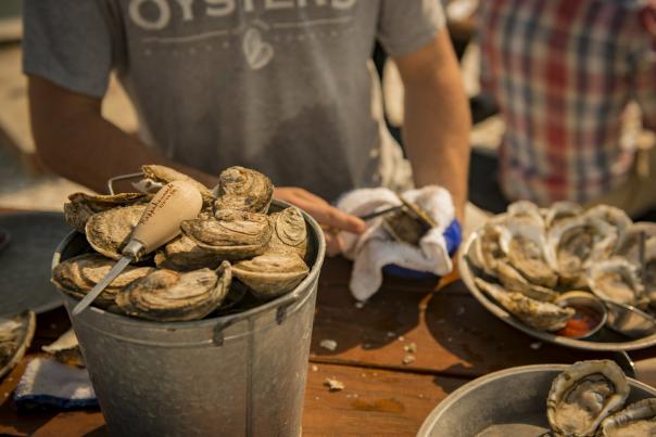 Merroir oysters shucked on a table