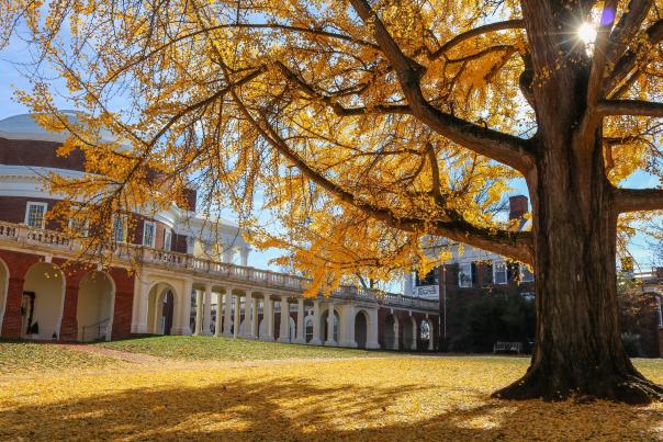 University of Virginia in Autumn
