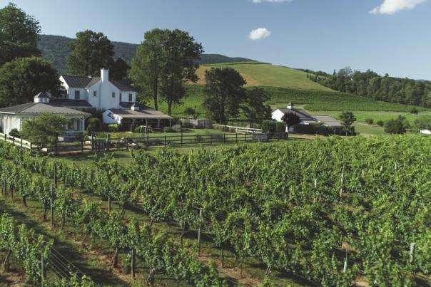 The Farmhouse at Veritas Vineyard &amp; Winery