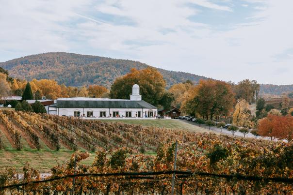 Barboursville Vineyards