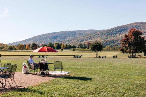 King Family Vineyards